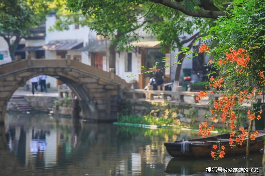 猪呕吐怎么治疗?-专业问答交流平台
